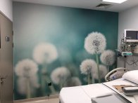 Papier peint lisse standard