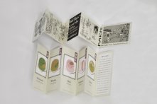 Pliage petit format "notice de médicament"