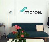 Forex imprimé et découpé