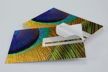 Sticker papier avec refente au dos en délai discount : format imposé